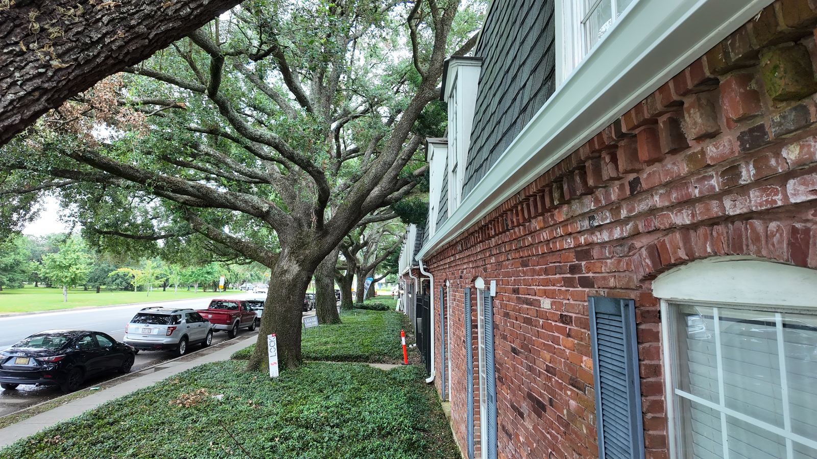 Brick home in the New Orleans area shaded by mature oak trees, the kind of canopy that fills gutters between cleanings